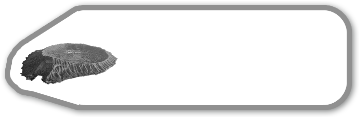 ダイヤモンドヘッド&カハラ方面おすすめルート