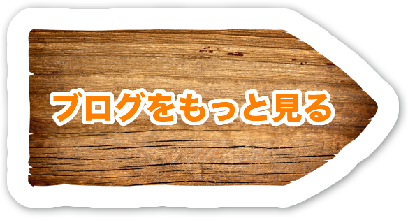 ブログをもっと見る
